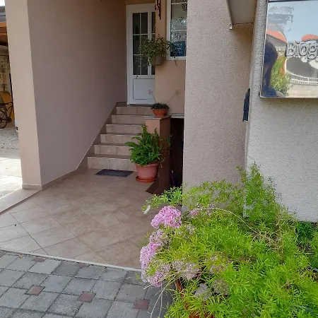 Apartment Filipovic Biograd Na Moru