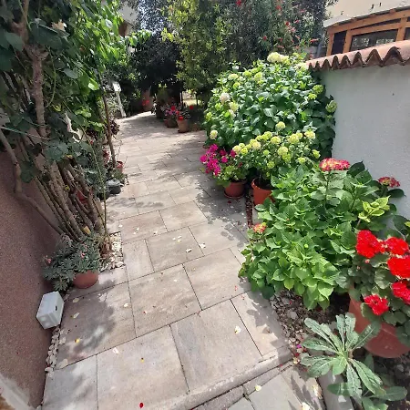 Filipovic Apartmán *