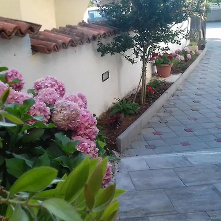 Apartman Filipovic Biograd Na Moru
