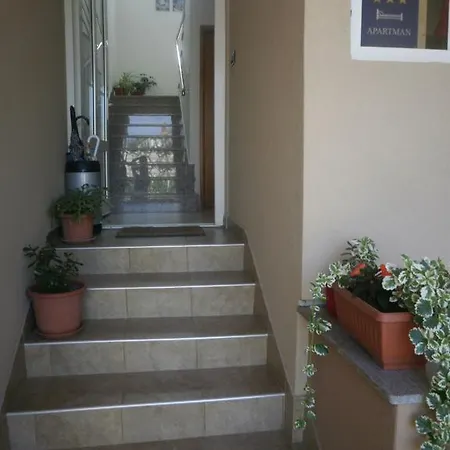 Filipovic 公寓 比奥格勒·纳·莫鲁