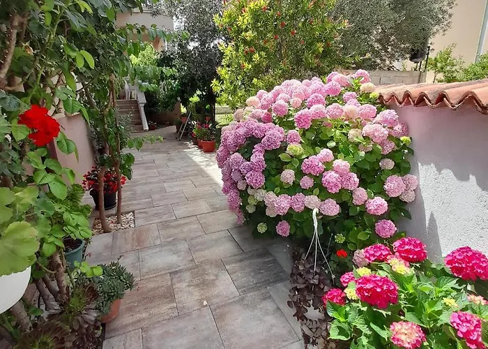 Filipovic アパート ビオグラード・ナ・モル